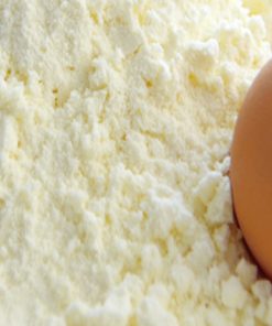 EGG WHITE POWDER