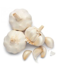 FRESH GARLIC