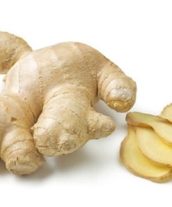 FRESH GINGER