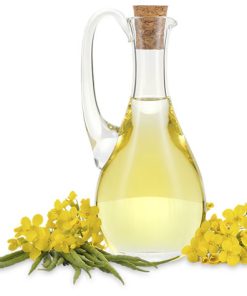 Refined Rapeseed Oil / Canola Oil